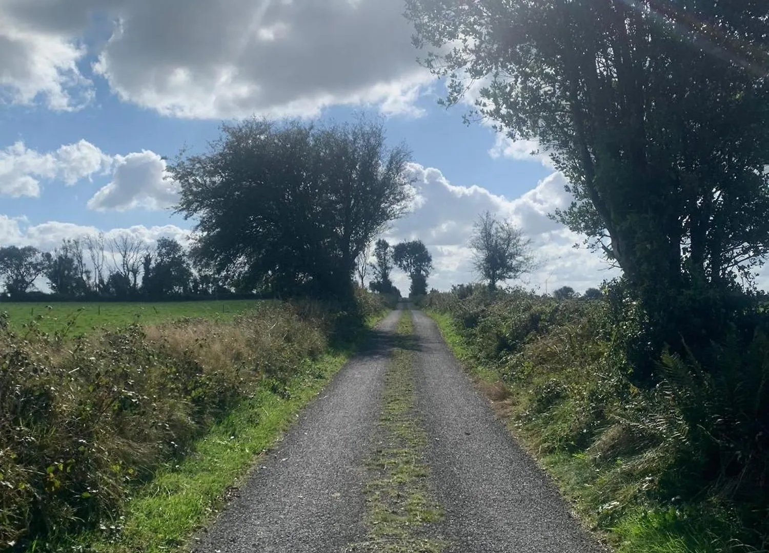 Country Haven Eircode H54 Ak31 Daire Galway Pansiyon